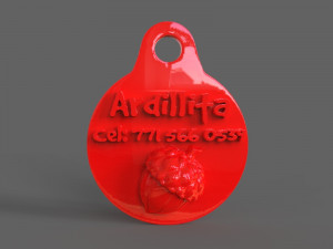 pet tag and pet jewelry combo 3D Print Model