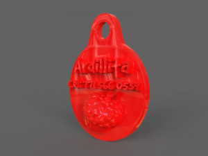 pet tag and pet jewelry combo 3D Print Model