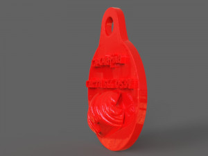 pet tag and pet jewelry combo 3D Print Model