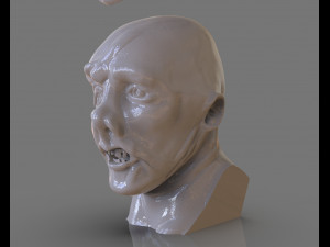 jason voorhees bust 3d print model 3D 프린트 모델