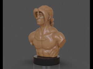 vega bust 3Dプリントモデル