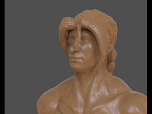 vega bust 3Dプリントモデル