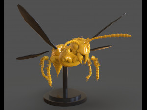 murdering asian hornet sculpture 3Dプリントモデル