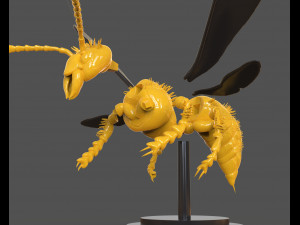 murdering asian hornet sculpture 3Dプリントモデル