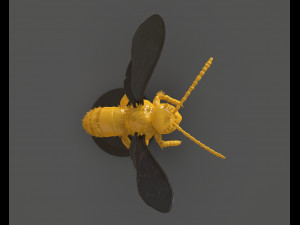 murdering asian hornet sculpture 3Dプリントモデル