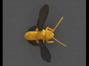 murdering asian hornet sculpture 3Dプリントモデル
