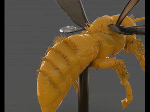 murdering asian hornet sculpture 3Dプリントモデル