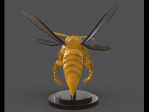 murdering asian hornet sculpture 3Dプリントモデル