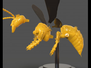 murdering asian hornet sculpture 3Dプリントモデル