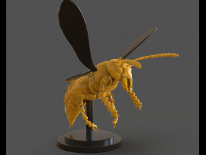 murdering asian hornet sculpture 3Dプリントモデル