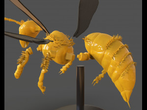 murdering asian hornet sculpture 3Dプリントモデル