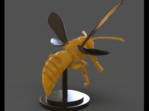 murdering asian hornet sculpture 3Dプリントモデル