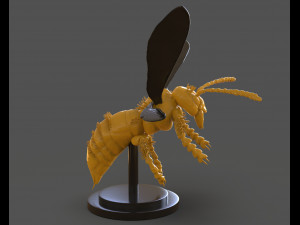 murdering asian hornet sculpture 3Dプリントモデル