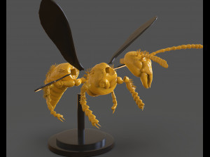 murdering asian hornet sculpture 3Dプリントモデル