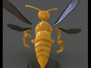 murdering asian hornet sculpture 3Dプリントモデル