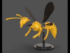 murdering asian hornet sculpture 3Dプリントモデル