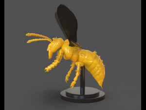 murdering asian hornet sculpture 3Dプリントモデル