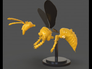 murdering asian hornet sculpture 3Dプリントモデル