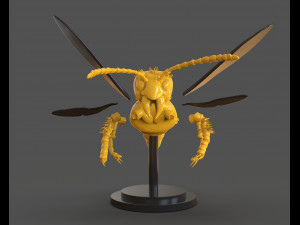 murdering asian hornet sculpture 3Dプリントモデル