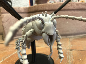murdering asian hornet sculpture 3Dプリントモデル