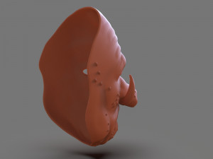 wookalar mask Modello di stampa 3D