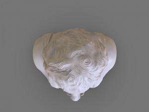 wookalar bust 3Dプリントモデル