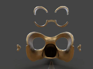 steampunk penguin googles 3D Print Model