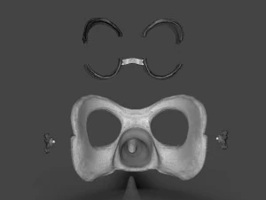 steampunk penguin googles 3D Print Model