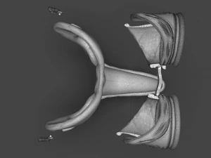 steampunk penguin googles 3D Print Model