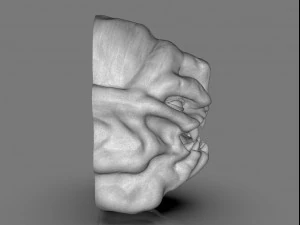 rancor gargoyle head 3D Print Model