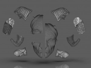 Pans Labyrinth Mask 3Dプリントモデル