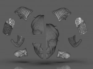 パンズラビリンスマスク 3Dプリントモデル