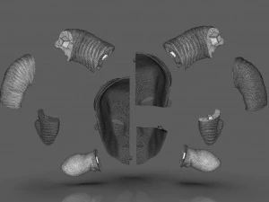 パンズラビリンスマスク 3Dプリントモデル