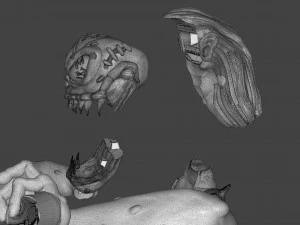 Troy the Demon 3D Print Model
