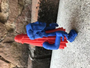 Kasa Obake Takaya 3D Print Model