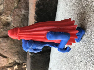 Kasa Obake Takaya 3D Print Model