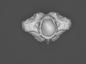 Prehispanic Alien Model Cetak 3D