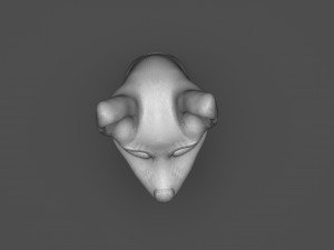 Stylized Xoloitzcuintle Bust 3Dプリントモデル