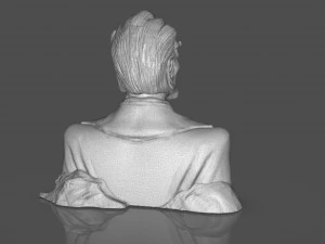 Stylized Joker Bust 3D Print Model