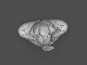 Stylized Joker Bust 3D Print Model