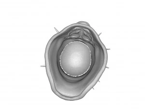 El Penitente Un Casco Estoico Blasfemo Mascarilla Modelo de impresión 3D