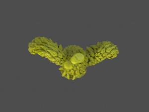 Eagle Sculpture 3D Принт Модель