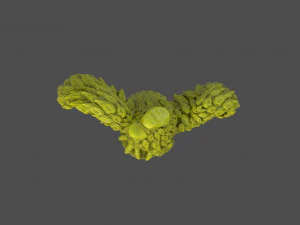 Eagle Sculpture 3D Print Model