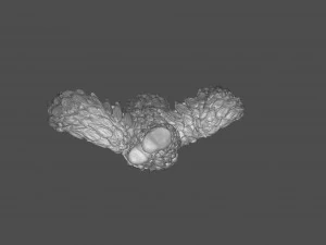 Eagle Sculpture 3D Print Model