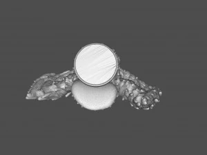 Eagle Sculpture 3D Print Model