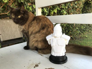 클론 트루퍼 캡틴 렉스 흉상 3D 프린트 모델