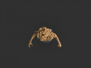 Female Clicker Sculpture 3D Print Model