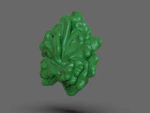 The Last Of Us Clicker Head 3D Print Model