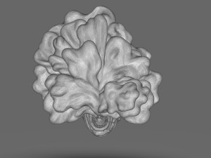The Last Of Us Clicker Head 3D Print Model