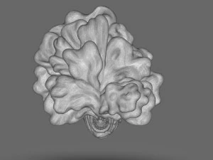 The Last Of Us Clicker Head 3D Print Model